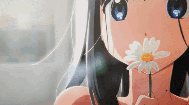 ANIME 8
